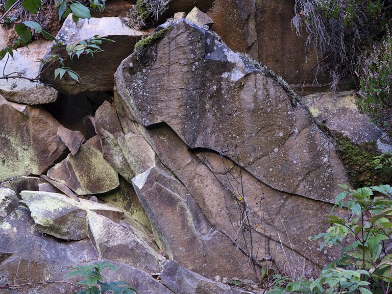 GSCF0410